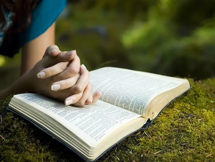 Primary Image for Read Site Menu Tab.jpg